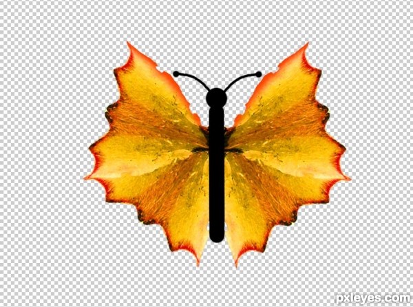 Creation of Butterfly: Step 11